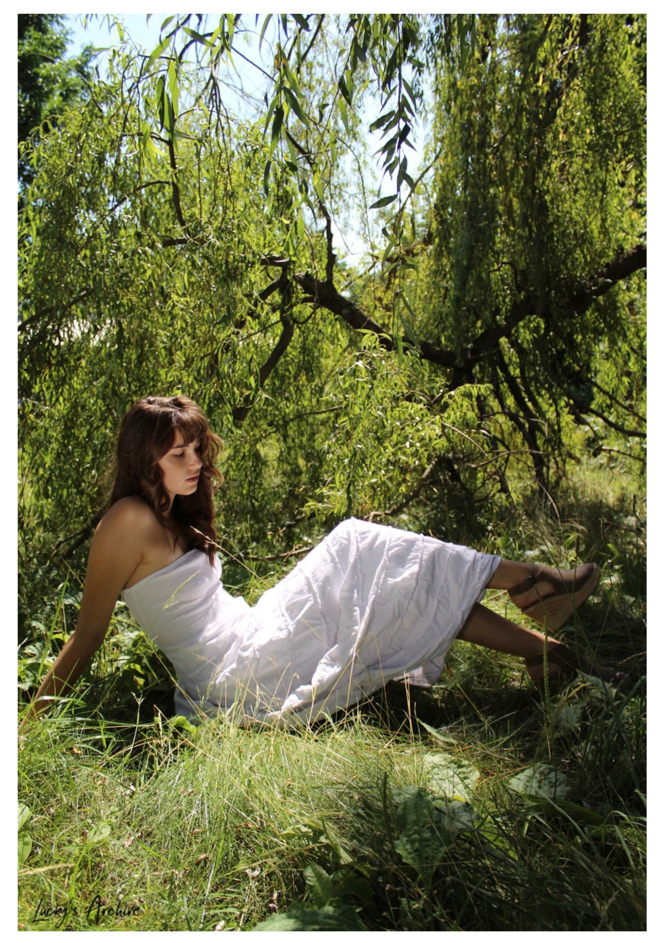 Resting in the shade of a willow