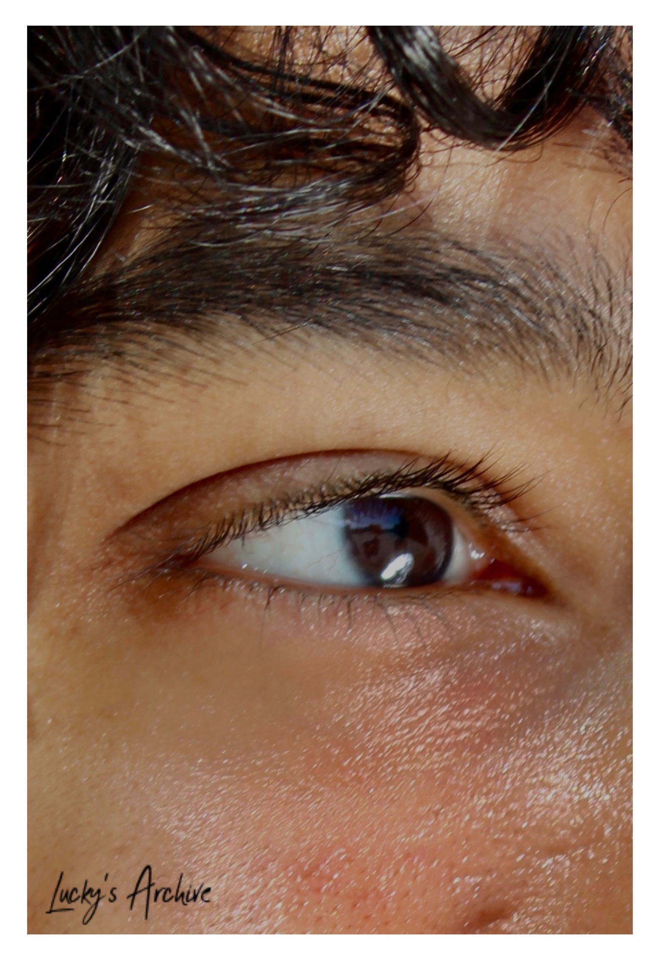Macro close-up portrait of an eye and brow
